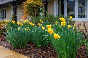 Photo 30- click for photo gallery